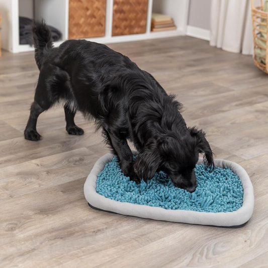 Trixie Dog & Cat Activity Snuffle Plate - Cat Toys 2