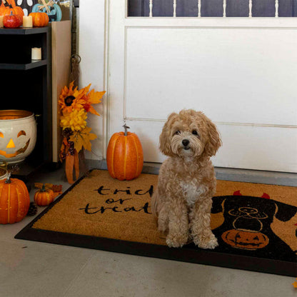 4 Cats & Dogs Trick or treat Rectangular Entrance Mat with dog by the door