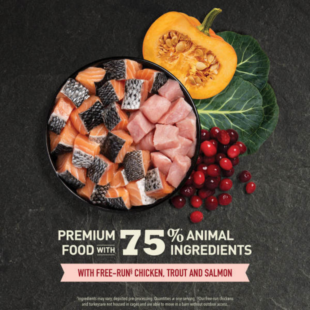 ACANA Highest Protein Indoor Cat Recipe Dry Cat Food