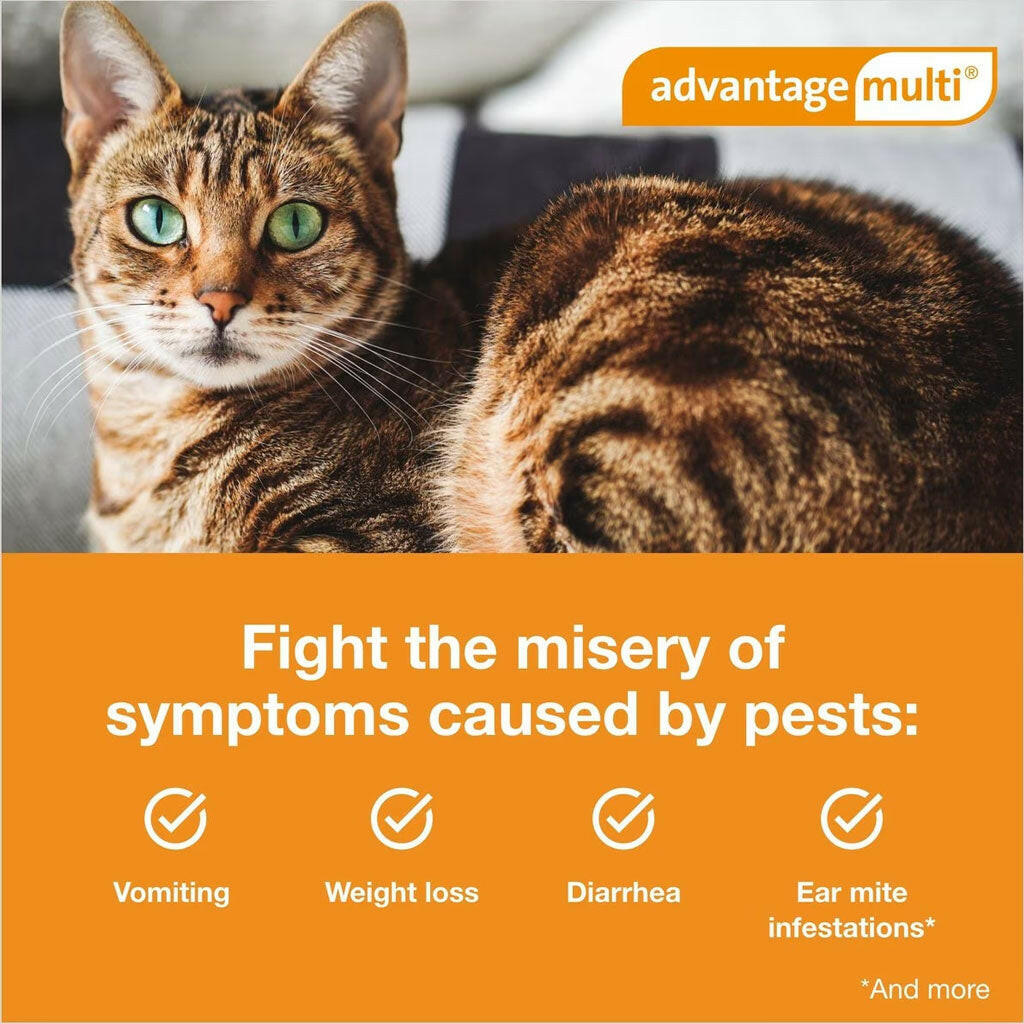 Advantage Multi for Cats, 2-5 lbs