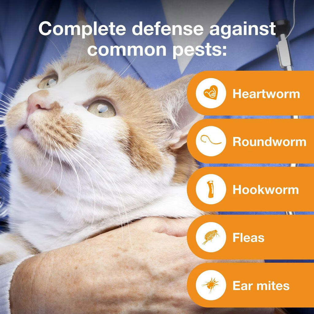 Advantage Multi for Cats 5.1-9 lbs