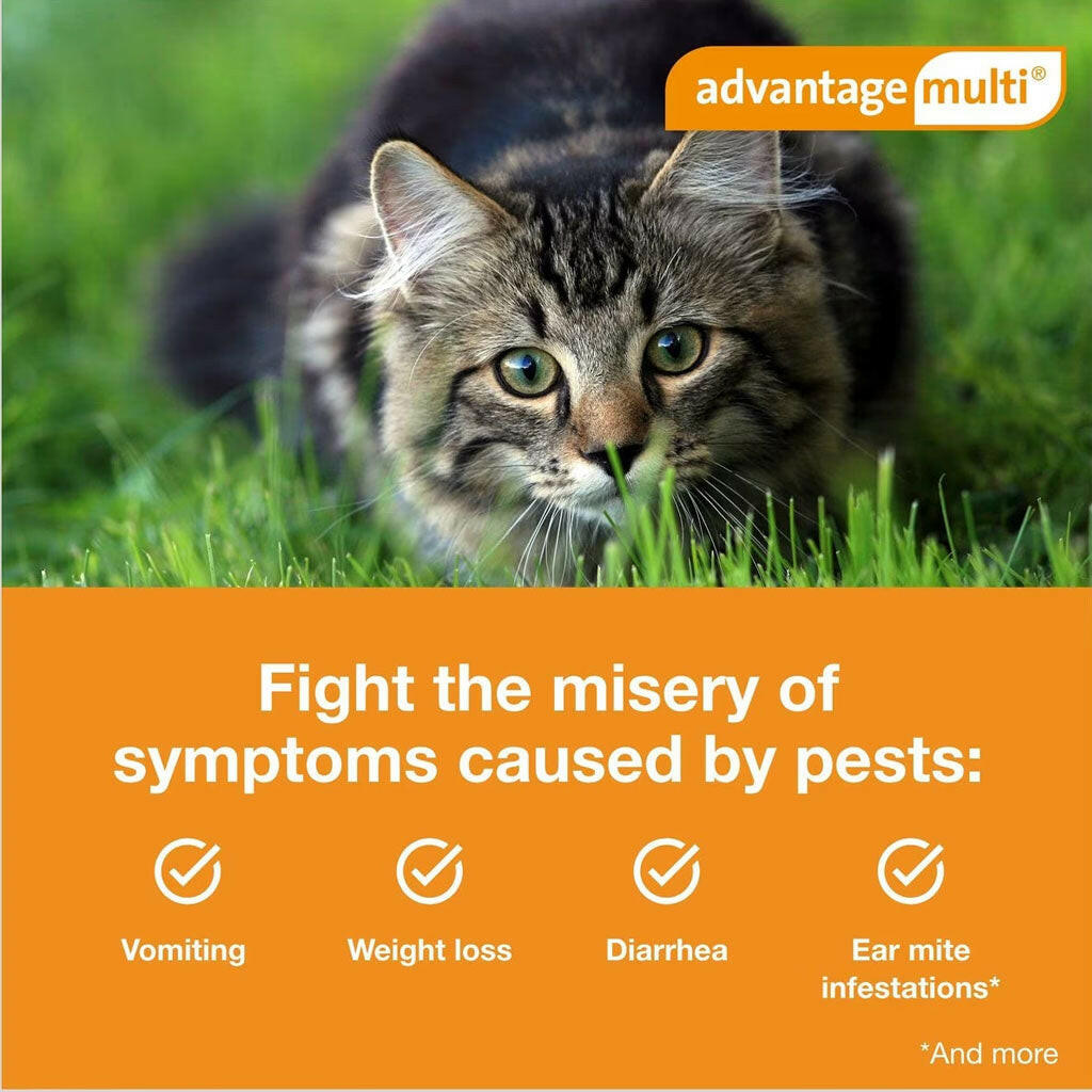 Advantage Multi for Cats 5.1-9 lbs