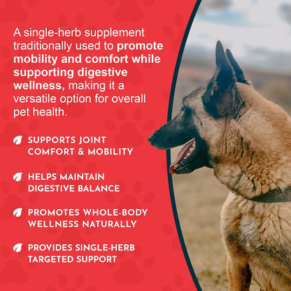Animal Essentials Herbal Tonic Blend Joint Support Helps Stiffness & Soreness for Dogs & Cats - Dog Supplements &