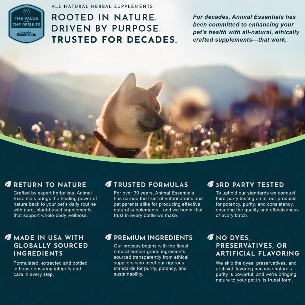 Animal Essentials Herbal Tonic Blend Liver Defense for Dogs & Cats - Dog Supplements & Vitamins 6