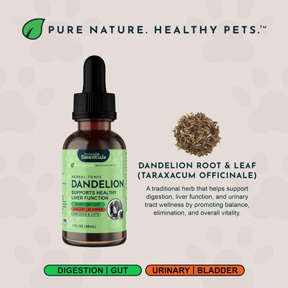 Animal Essentials Herbal Tonic Dandelion Supports Healthy Liver Function for Dogs & Cats - Dog Supplements & Vitamins 6