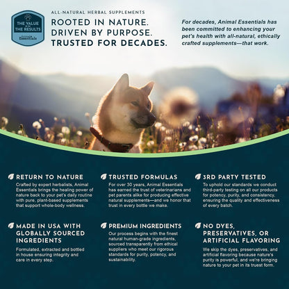 Animal Essentials Herbal Tonic Nettle Allergy Support for Dogs & Cats - Dog Supplements & Vitamins 3