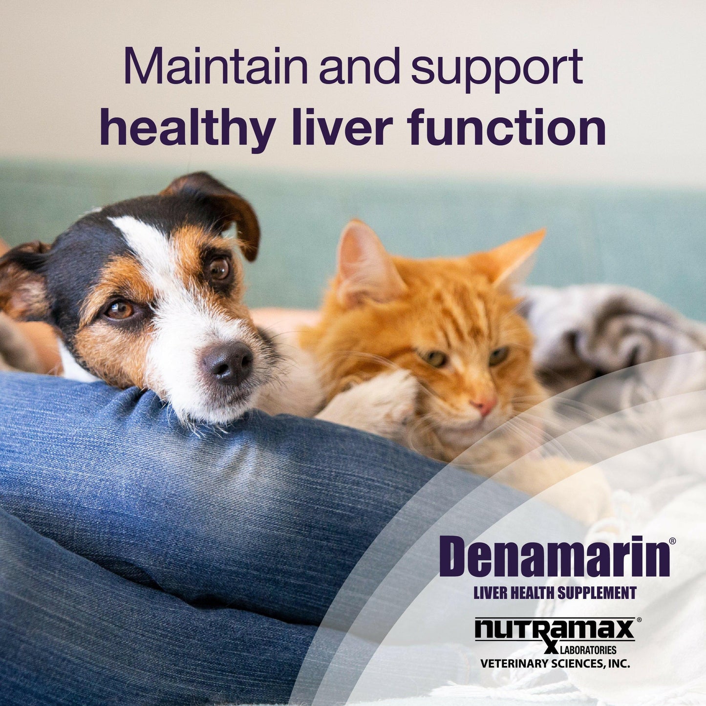 Denamarin for Cats and Small Dogs in a Bottle - Dog Supplements & Vitamins 5