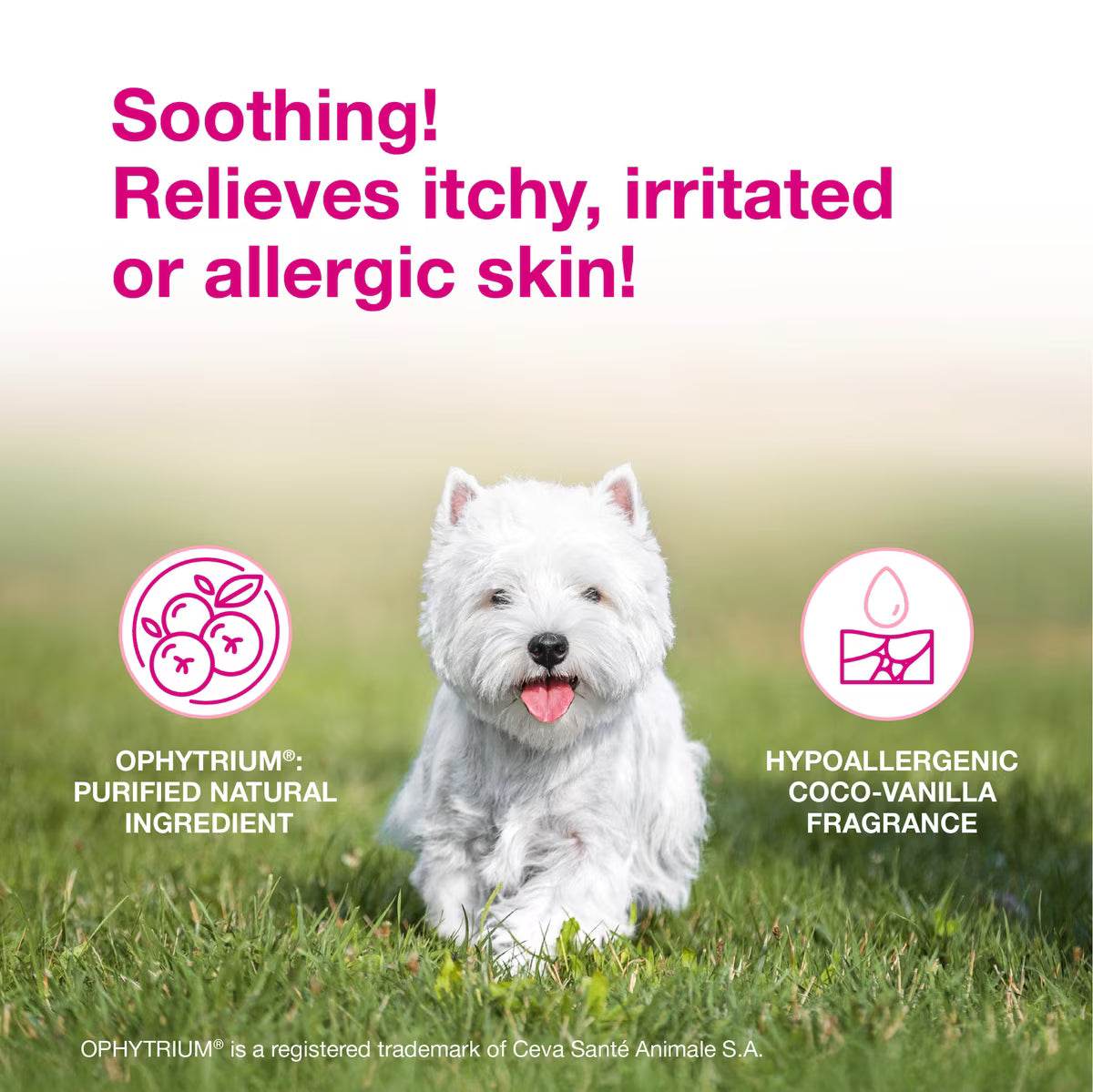 Douxo S3 CALM Soothing Itchy Hydrated Skin Dog & Cat Shampoo - Dog & Cat Shampoo 4