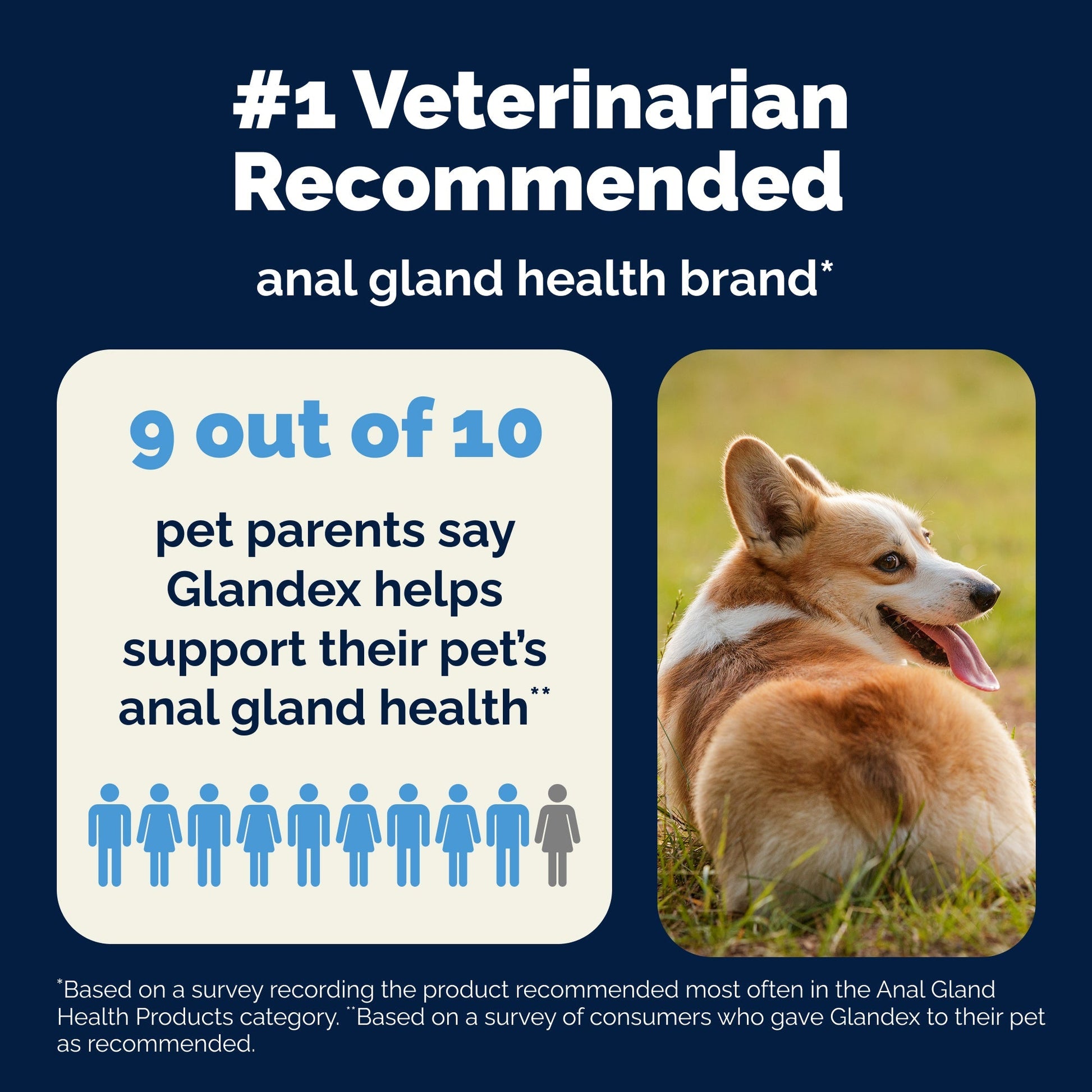 Glandex Anal Gland Support Peanut Butter Soft Chews for Dogs - Dog Supplements & Vitamins 8