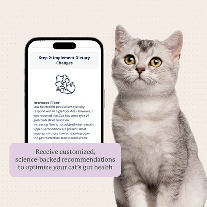 Kitty Biome At-Home Kit Gut Microbiome Test for Cats - Cat Digestive & Probiotics Supplements 8
