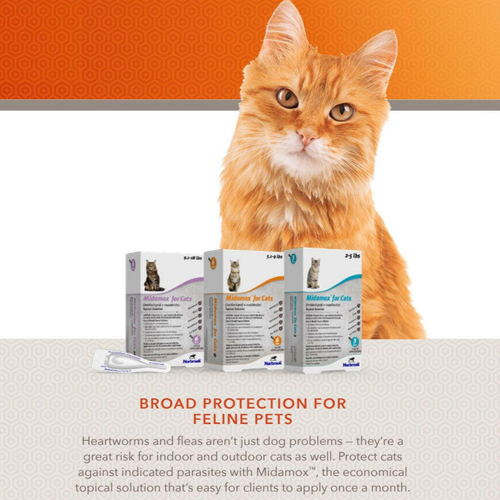 Midamox for Cats, 9.1-18 lbs