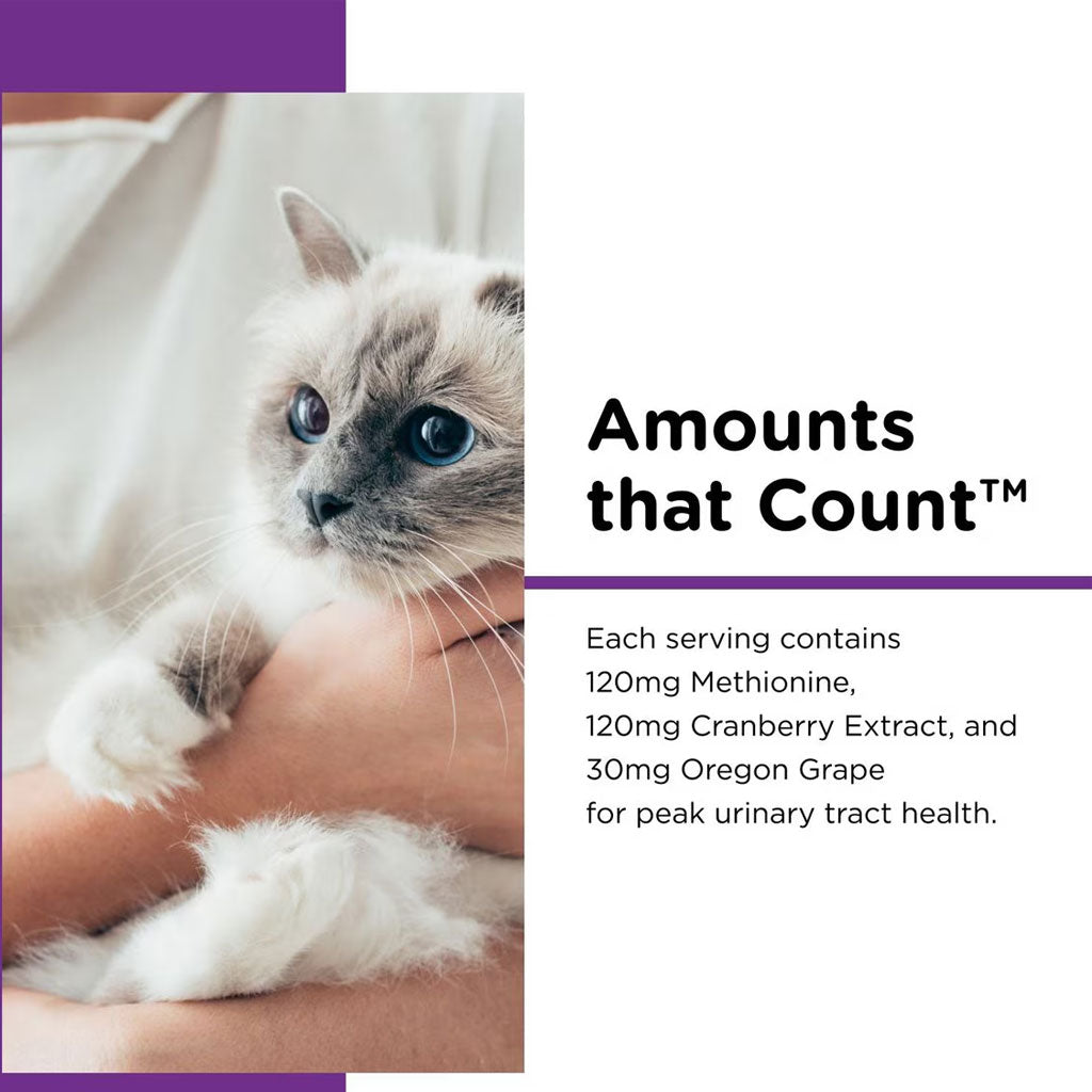 Nutri-Vet Uri-Ease Cat Paw-gel Urinary Supplement Salmon Flavored 3-oz - Cat Digestive & Probiotics Supplements 3