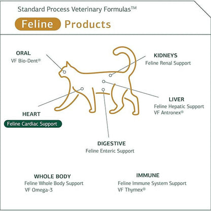 standard process feline cardiac support