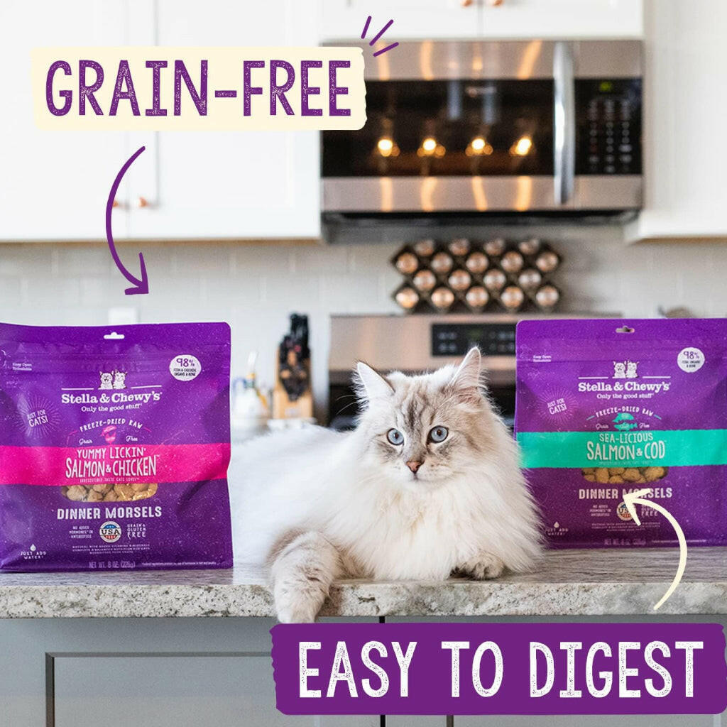 Stella & Chewy's Bountiful Beef Dinner Morsels Freeze-Dried Raw Food for Cats (8 oz)