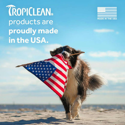 Tropiclean Oatmeal & Tea Tree Medicated Itch Relief Shampoo For Pets (20 oz)