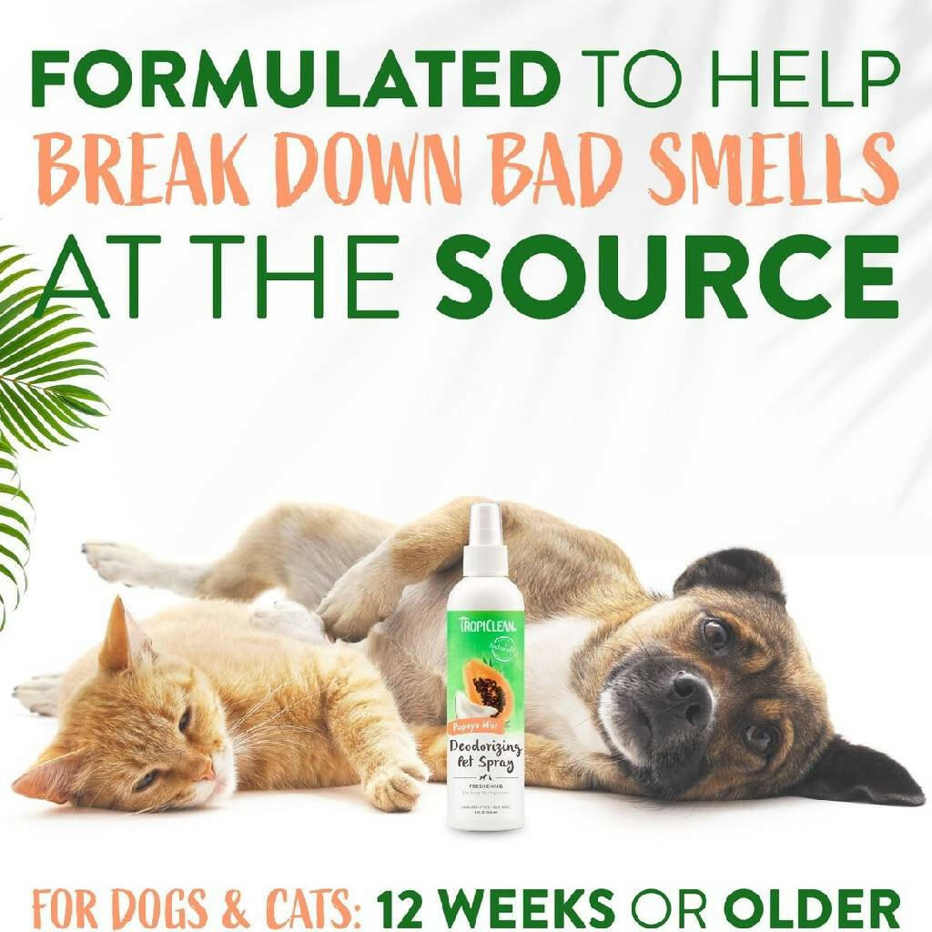 Tropiclean Papaya Mist Cologne For Pets (8 oz)