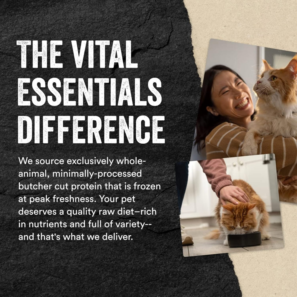 Vital Essentials Freeze-Dried Raw Chicken Breast Treats For Cat