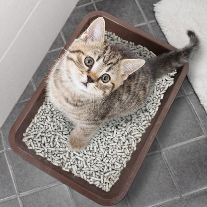 World’s Best Cat Litter Breeder Celect 14 lbs - Cat Litter & Waste Disposal 3